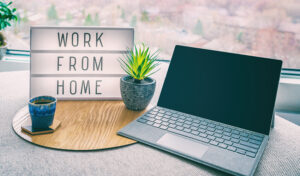 work from home with ems